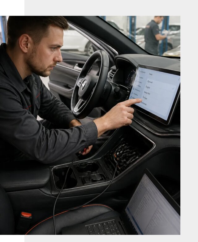 Профессиональная русификация BYD SONG Plus в Новошахтинске